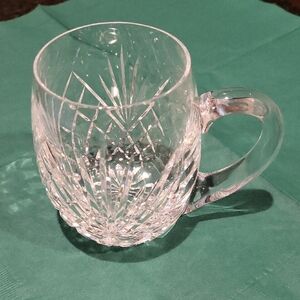 Waterfood Crystal Clear Glass Mug.